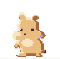 Bori, the Céu Canto hamster